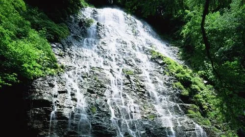 高性能高效自动化